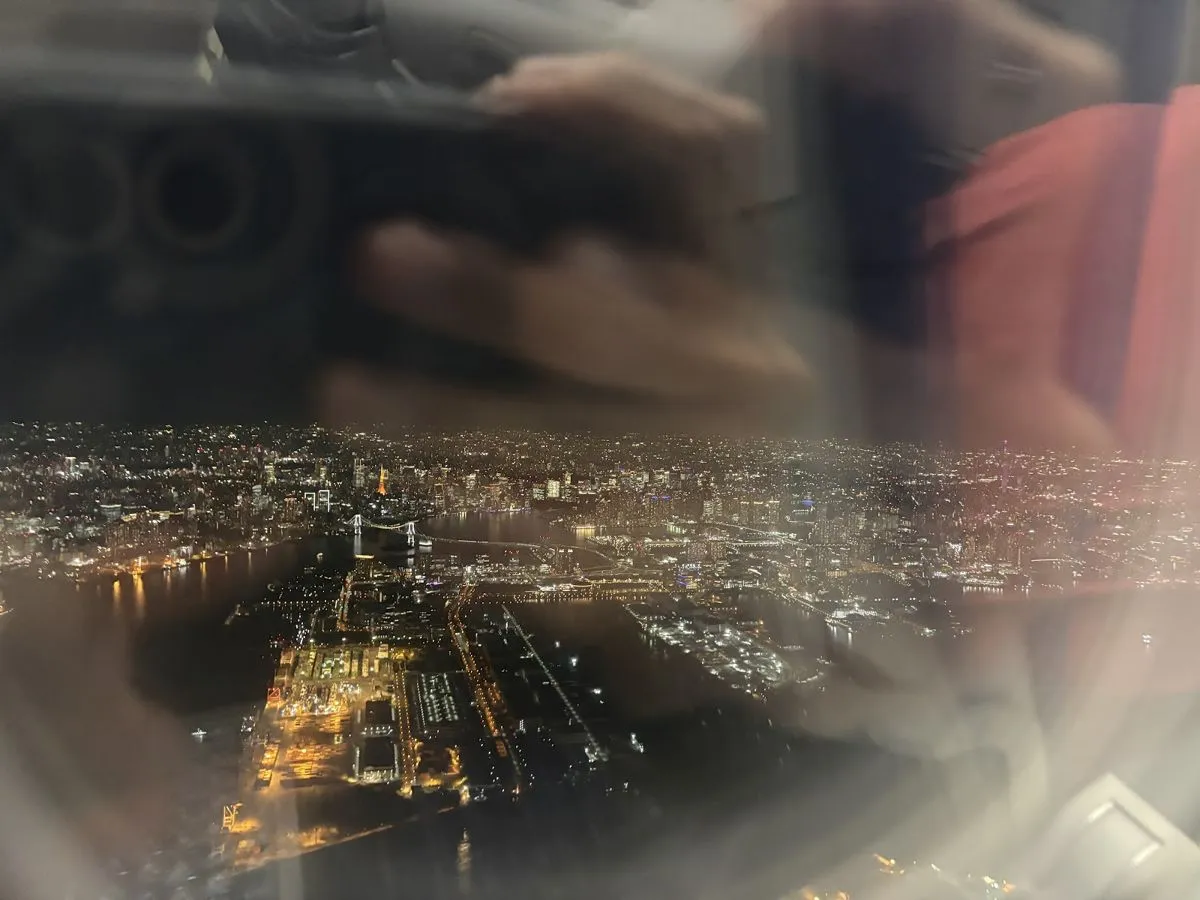 機内から見た東京の夜景
